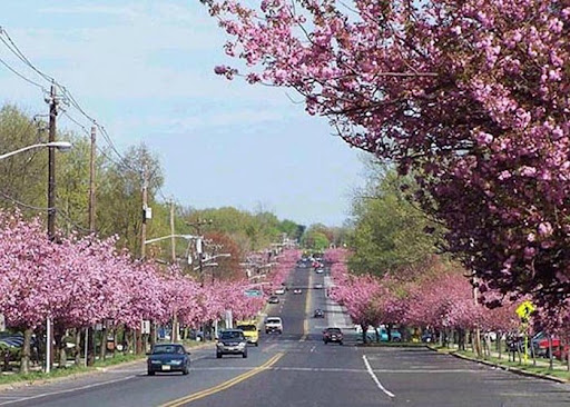 bank Cherry Hill Personal Injury Lawyer