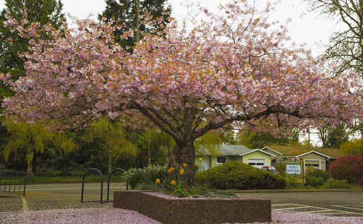 bank Cherry Tree Law(Formerly Kara H Daley Law)