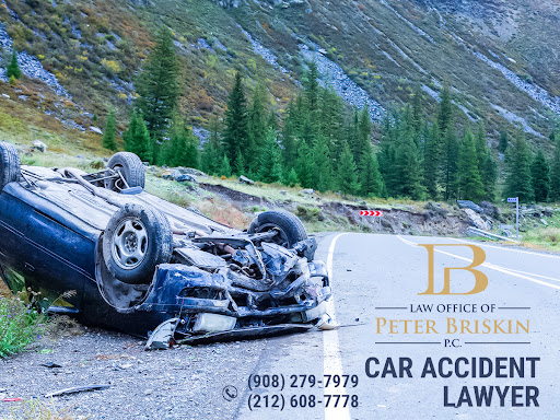 lawyer Law Office Of Peter Briskin, P.C.