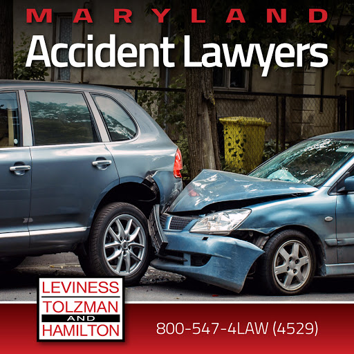 bank Leviness, Tolzman & Hamilton, P.A.